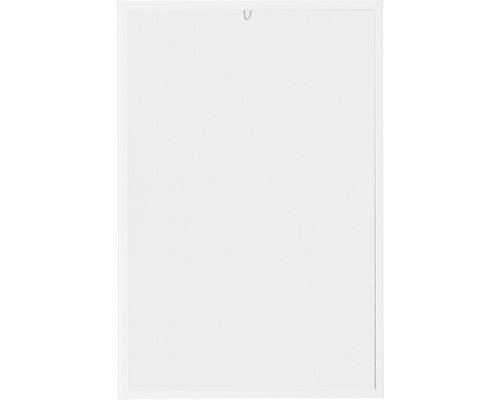 Insektenschutzfenster mit Rahmen