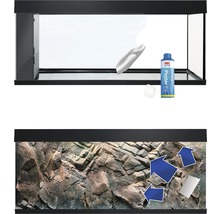 Aquarium mit Felswand-Dekoration, Reinigungszubehör und Klebstoff für Poster