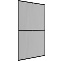 Insektenschutz home protect Rahmenfenster XL Aluminium anthrazit 150x210 cm
