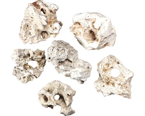 Mehrere Lochgesteine für Aquarien