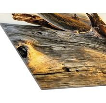 Acrylglasbild mit Holz und Glaskugel