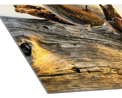 Acrylglasbild mit Holz und Glaskugel