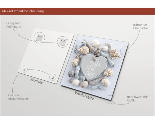 Glasbild mit Muschelmotiv, inklusive Wandhalterung