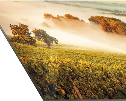 Dekoratives Wandbild mit Weinberglandschaft im Nebel