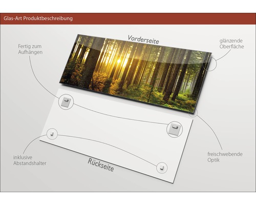 Glasbild mit Waldmotiv, glänzender Oberfläche und Aufhängern