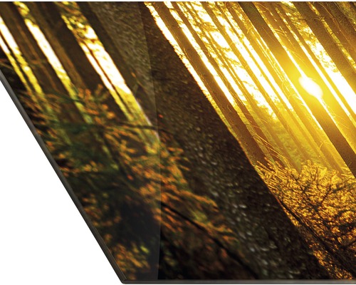 Dekorplatte mit Waldmotiv und Sonnenschein
