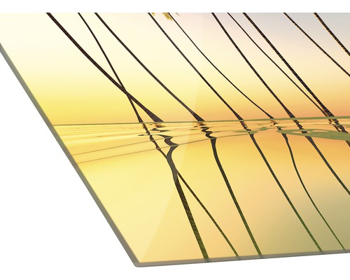 Acrylglasbild mit Palmen bei Sonnenuntergang