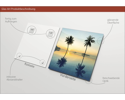 Glasbild mit Palmenmotiv, inklusive Abstandshalter zur Aufhängung