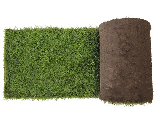 Rolle Rollrasen für den Garten