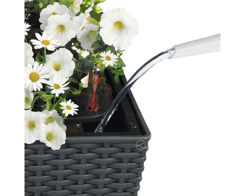 Bewässerung eines Pflanzgefäßes mit Wasseranzeige und weißen Blumen.