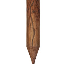 Holzpfosten mit Spitze