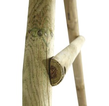 Doppelschaukel plum Giant Baboon Holz mit Kletterseil und Rutsche grün-thumb-6