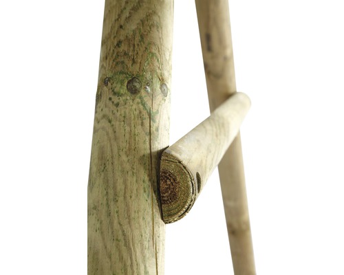 Detailansicht einer Holzleiter mit runden Sprossen