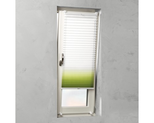 Plissee am Fenster zur Lichtregulierung und Dekoration