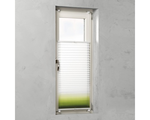 Fenster mit Faltstore zur Lichtregulierung und Beschattung