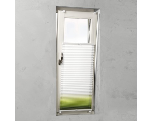 Plissee am Fenster zur Beschattung und Dekoration