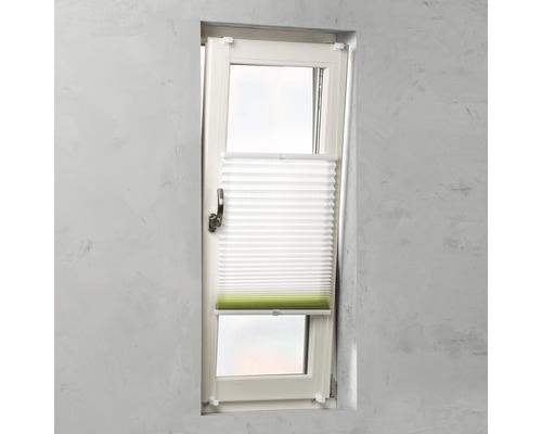 Fenster mit Plissee-Rollo zur Beschattung