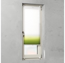 Fenster mit Plissee zum Sonnenschutz