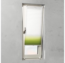 Plissee im Fensterrahmen, halb geöffnet für Lichteinfall