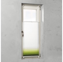 Fenster mit Plissee-Faltstore für Sicht- und Sonnenschutz
