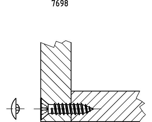 Zeichnung einer Holzschraube in einem Holzstück