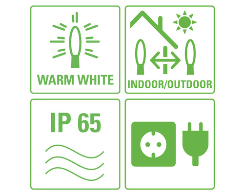 Symbole für warmweißes Licht, Innen- und Außenbereich, Schutzart IP 65 und Netzstecker