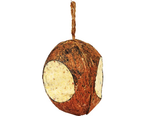 Kokosnuss-Vogelfutter zum Aufhängen