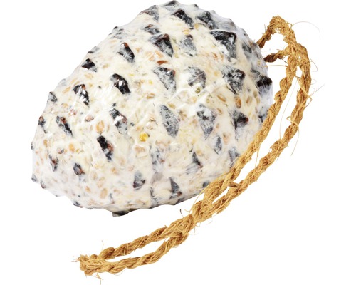 Vogelfutterzapfen mit Seilaufhängung