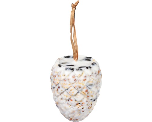 Vogelfutterzapfen zum Aufhängen