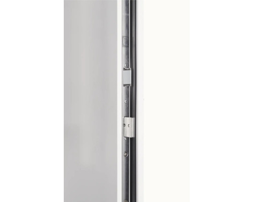 Detailansicht eines Türschlosses mit Beschlägen