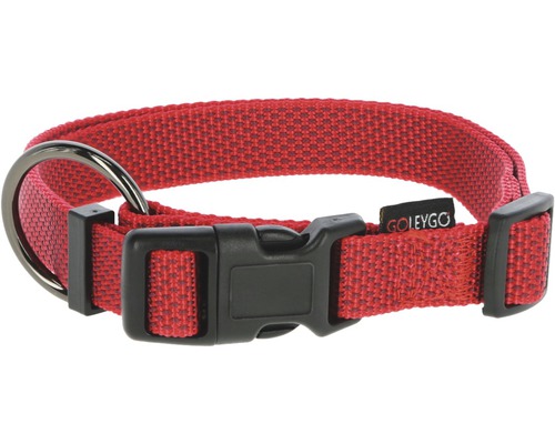 Rotes Hundehalsband mit Metallschnalle