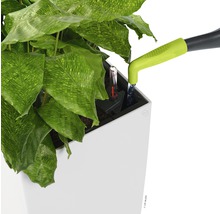 Pflanze in einem Pflanzgefäß mit Bewässerungssystem und Wasserstandsanzeige wird gegossen