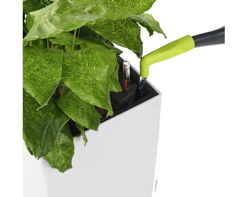 Pflanze in einem Pflanzgefäß mit Bewässerungssystem und Wasserstandsanzeige wird gegossen