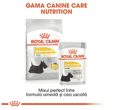 Hundefutter trocken ROYAL CANIN Mini Dermacomfort 1 kg-thumb-7