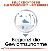 Kaloriengehalt im Hundefutter zur Begrenzung der Gewichtszunahme