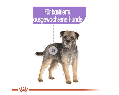 Illustration eines Hundes mit dem Hinweis: Für kastrierte, ausgewachsene Hunde