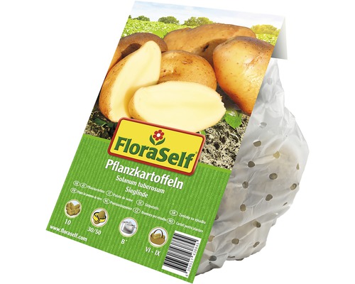 FloraSelf Pflanzkartoffeln der Sorte Sieglinde im perforierten Beutel