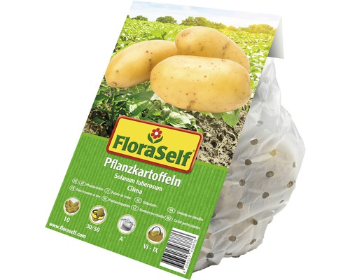 FloraSelf Pflanzkartoffeln Cilena im Sack