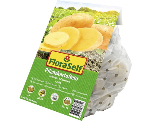 FloraSelf Pflanzkartoffeln Sorte Linda, Solanum tuberosum im Verkaufsnetz