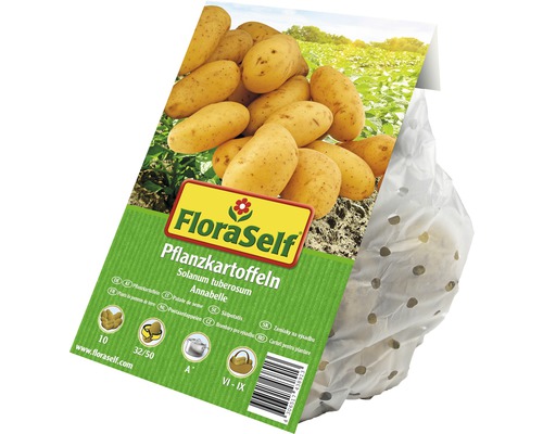 FloraSelf Pflanzkartoffeln Annabelle, 10 Stück, Saatkartoffeln