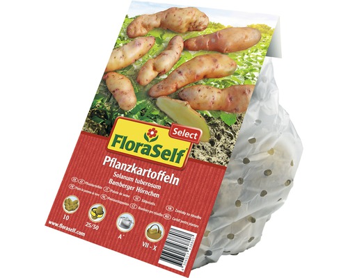 FloraSelf Pflanzkartoffeln Bamberger Hörnchen in perforierter Verpackung