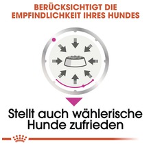 Symbolbild: Royal Canin Hundenahrung für sensible Hunde und wählerische Hunde
