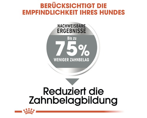 Reduzierte Zahnbelagbildung von bis zu 75 Prozent bei Hundefutter