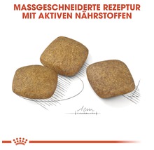 Drei quadratische Kroketten Hundetrockenfutter
