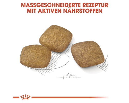 Drei quadratische Kroketten Hundetrockenfutter