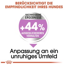 Berücksichtigt die Empfindlichkeit Ihres Hundes. Nachweisbare Ergebnisse: plus 44 Prozent ausgeglicheneres Verhalten. Anpassung an ein unruhiges Umfeld.