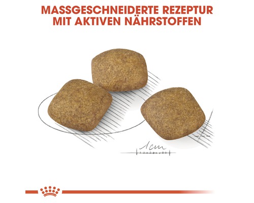 Drei Stücke Hundefutter mit aktiven Nährstoffen