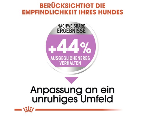 Berücksichtigt die Empfindlichkeit Ihres Hundes: Nachweisbare Ergebnisse, plus 44 Prozent ausgeglicheneres Verhalten. Anpassung an ein unruhiges Umfeld.