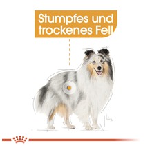 Hundefutter trocken ROYAL CANIN Coat Care Mini 3 kg