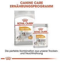 Hundefutter trocken ROYAL CANIN Coat Care Mini 3 kg